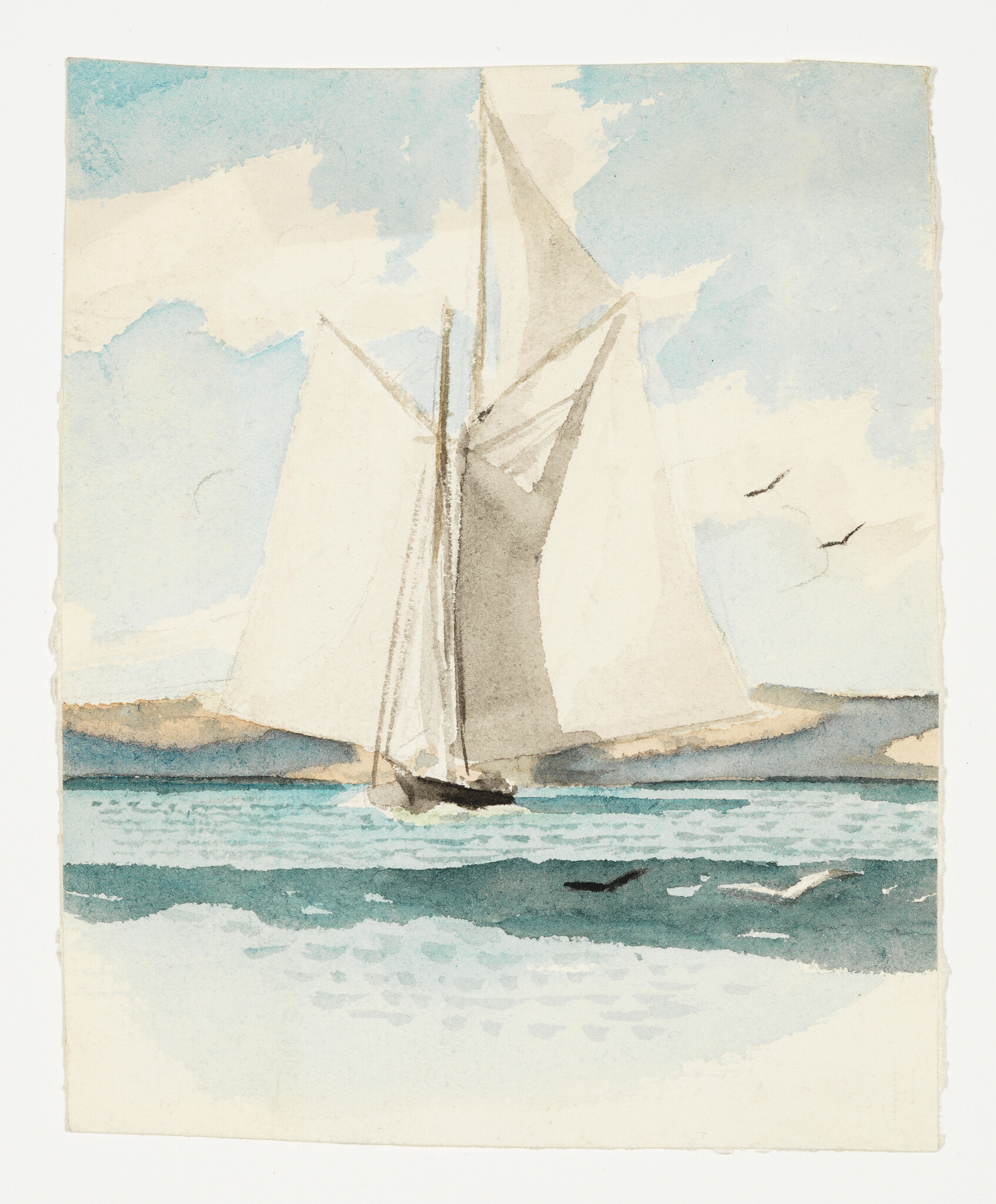 A sailboat glides across calm blue water with seagulls and a distant sandy coastline.