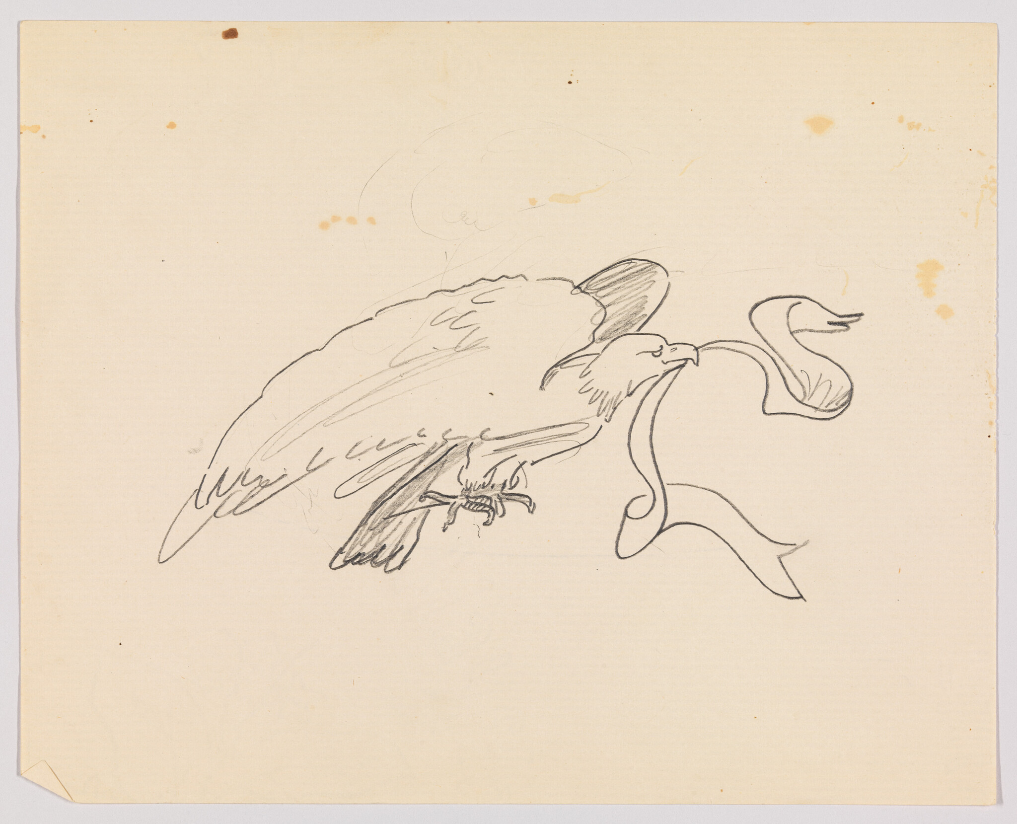 A pencil sketch of a large bird holding a flowing ribbon in its beak.
