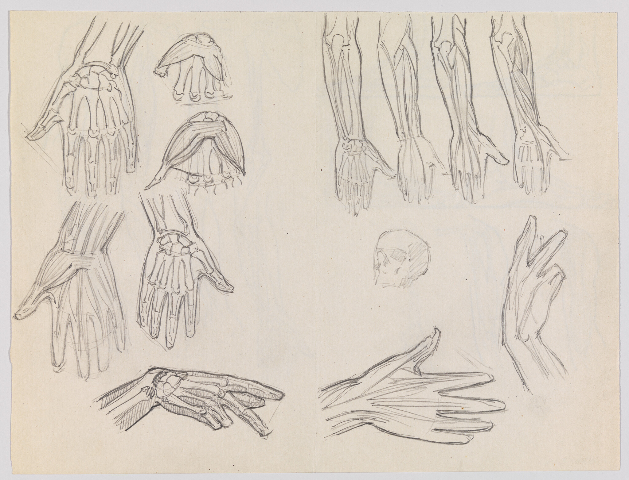 Multiple pencil sketches of hands and forearms showing bone and muscle anatomy in various poses.
