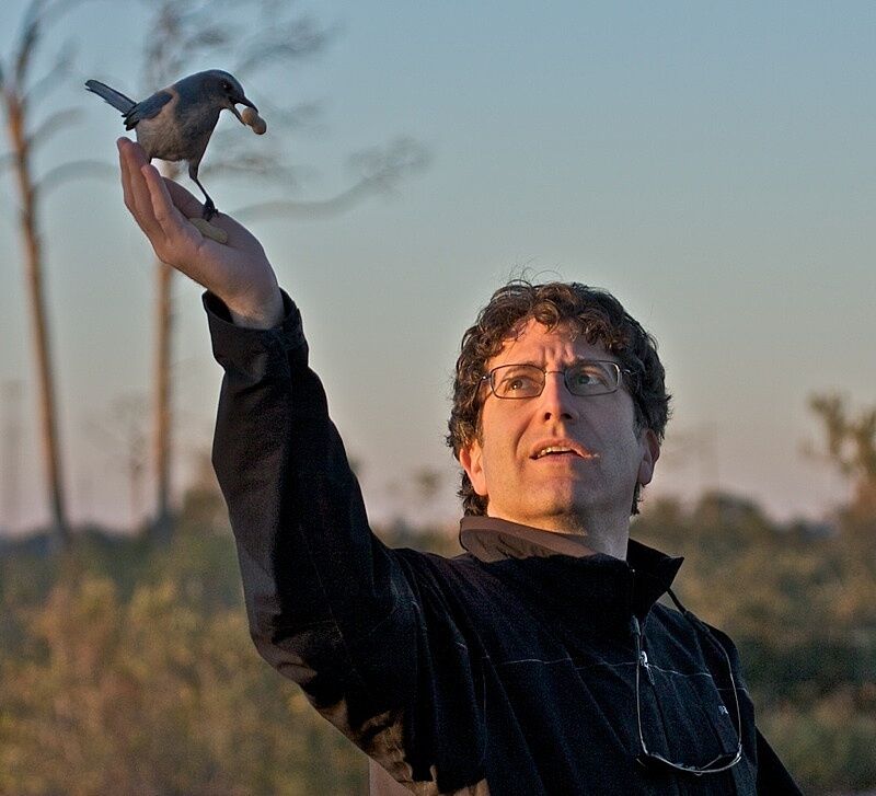 A man holds a bird up to the sky with food in it's mouth