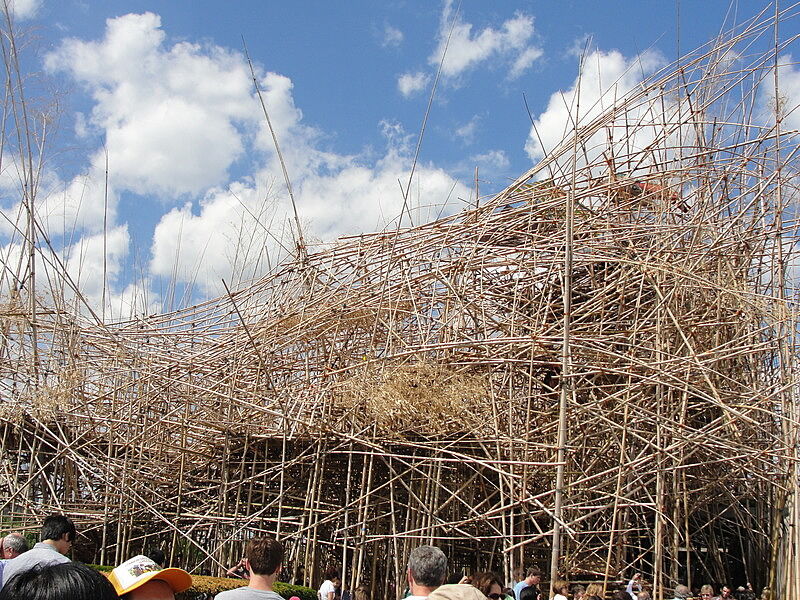 Bamboos under construction.