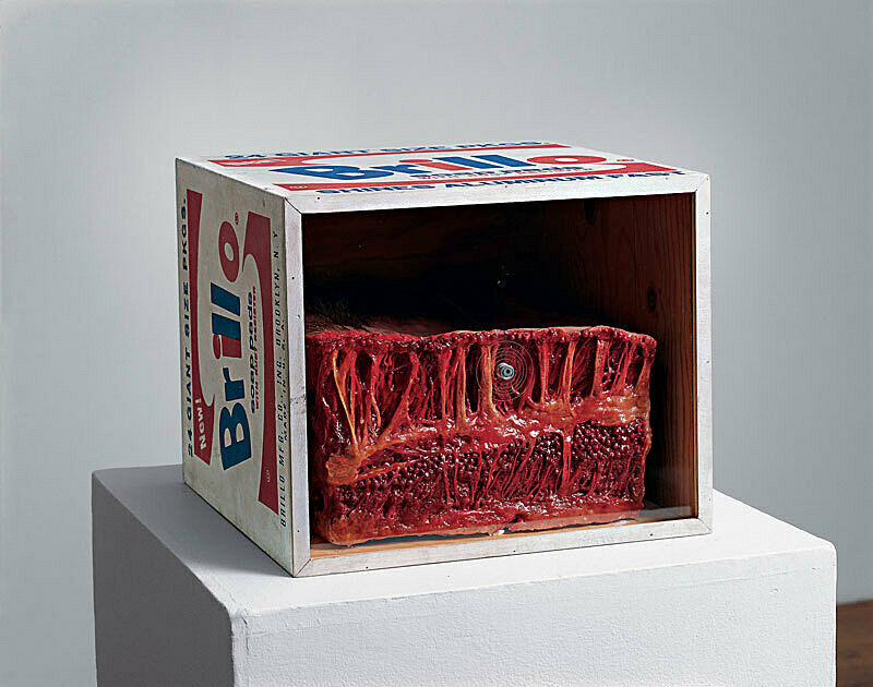 A sculpture of a piece of meat inside of a Brillo box.
