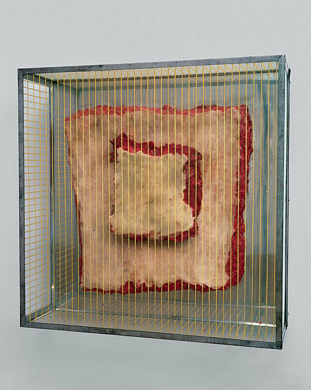 A sculpture of meat in a striped glass case.
