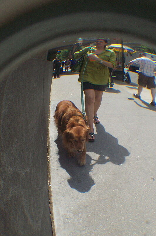 Photo of dog walker