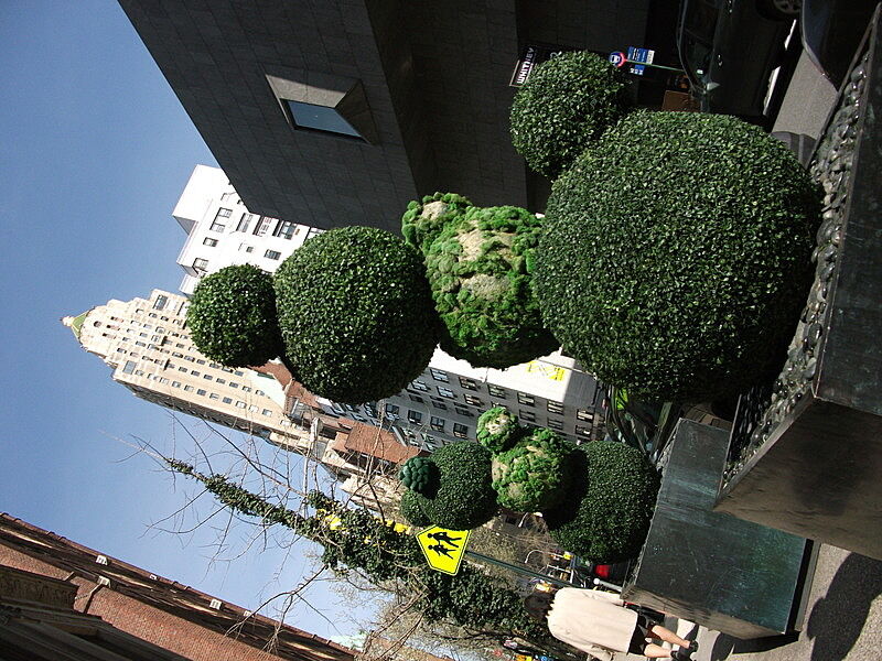 Plant sculpture in New York