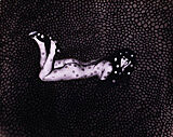 Nude woman covered in spots.
