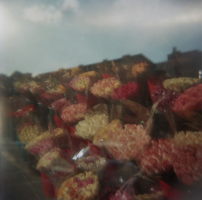 blurred exposure of flowers