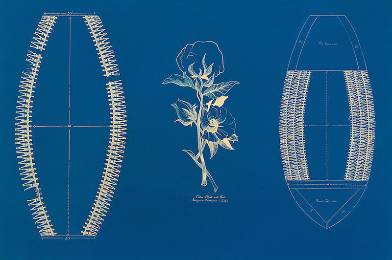 A painting of a cotton plant between two slave ships against a blue background.