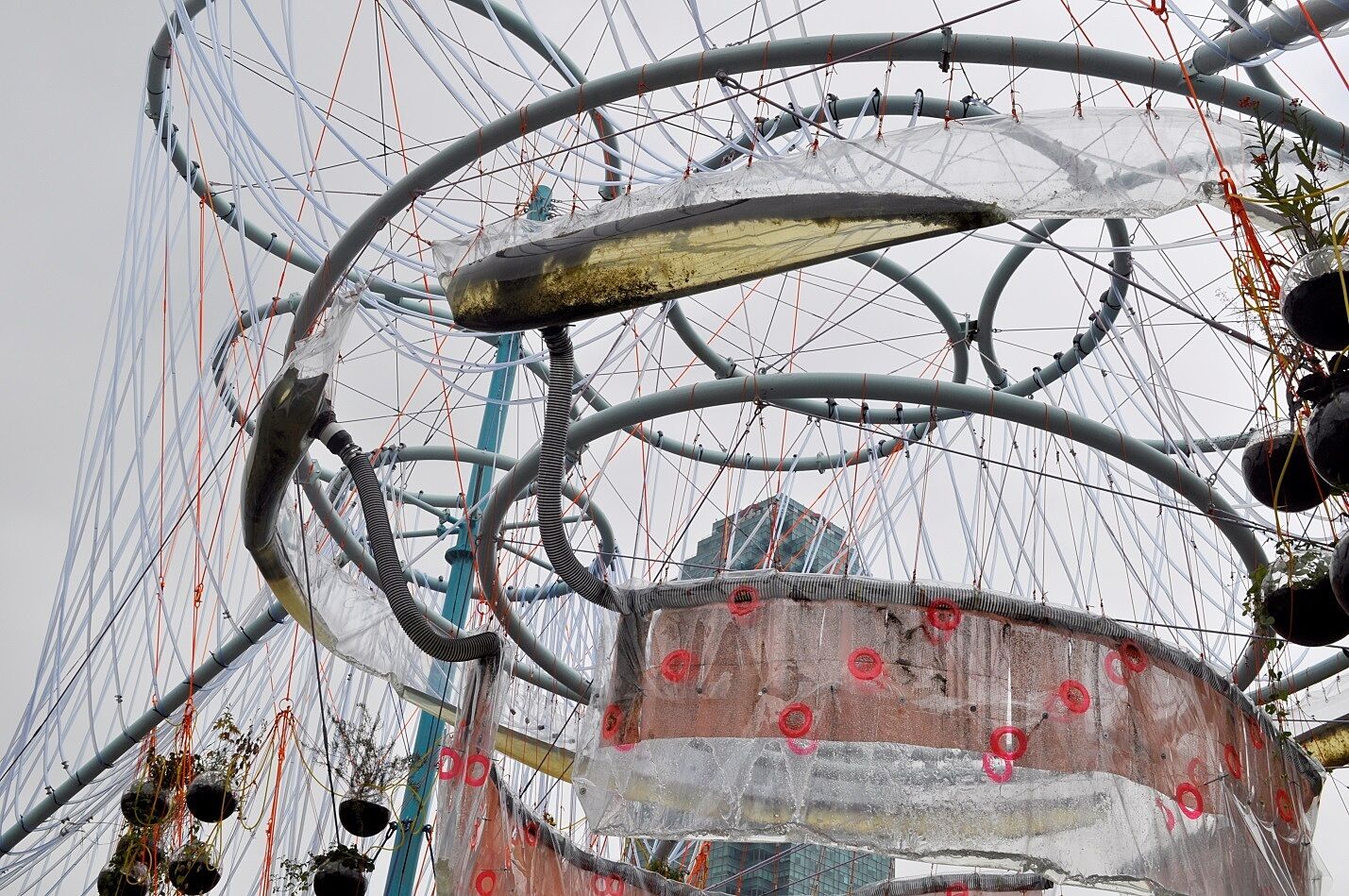 large installation made up of strings and metal hoops