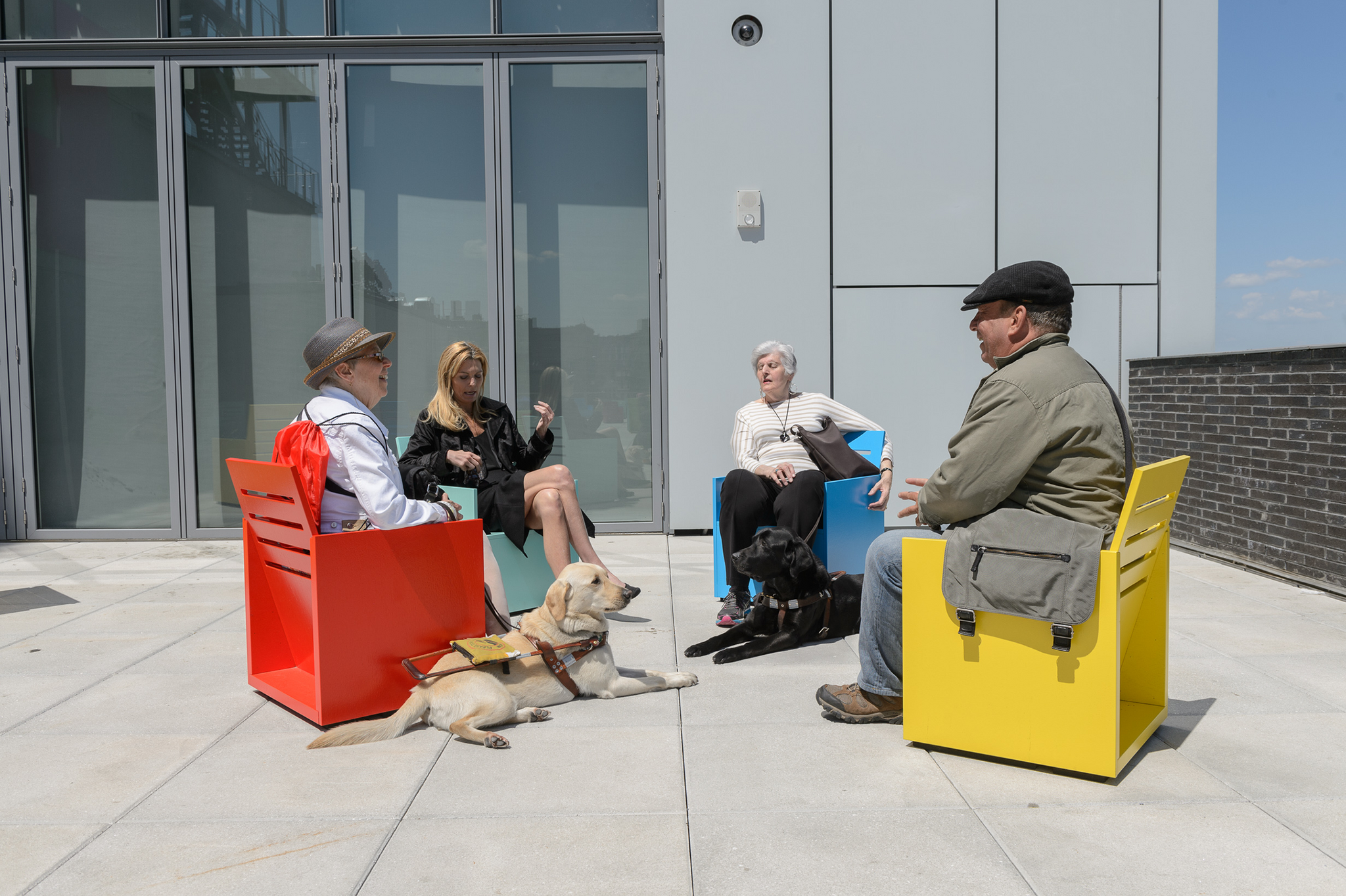 Four adults sit outside on brightly colored chairs and two service dogs lay on the concrete at their feet.