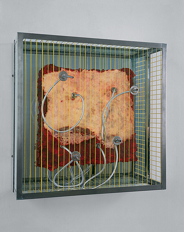 A sculpture by Paul Thek. Meat in Plexiglas box.  
