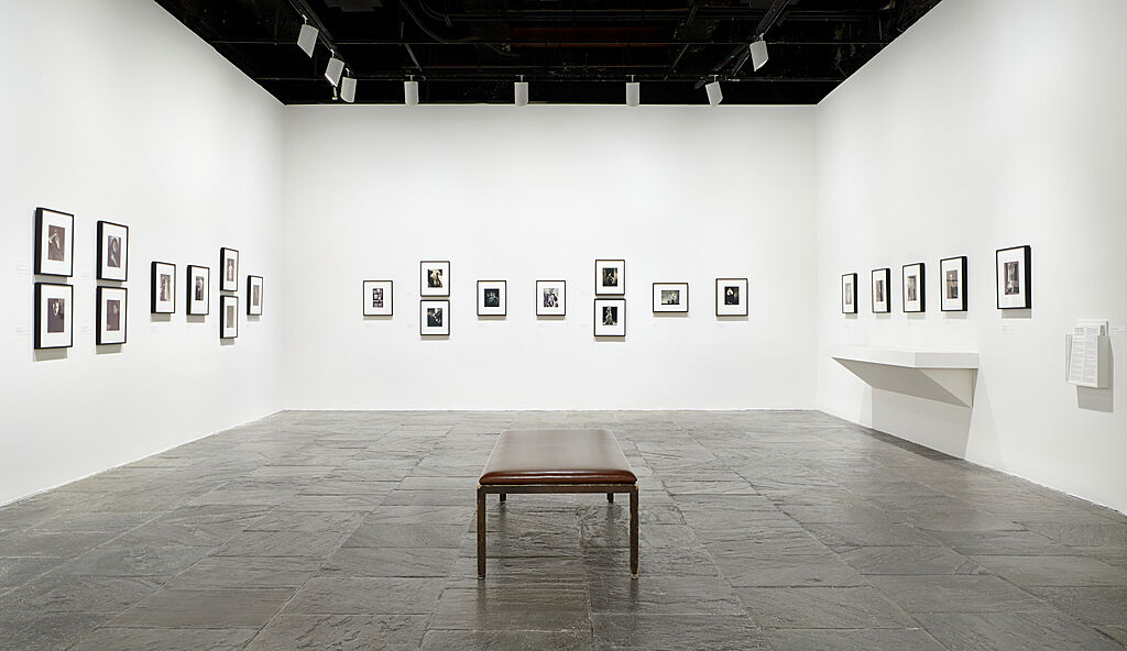 Edward Steichen in the 1920s and 1930s: A Recent Acquisition | Whitney ...