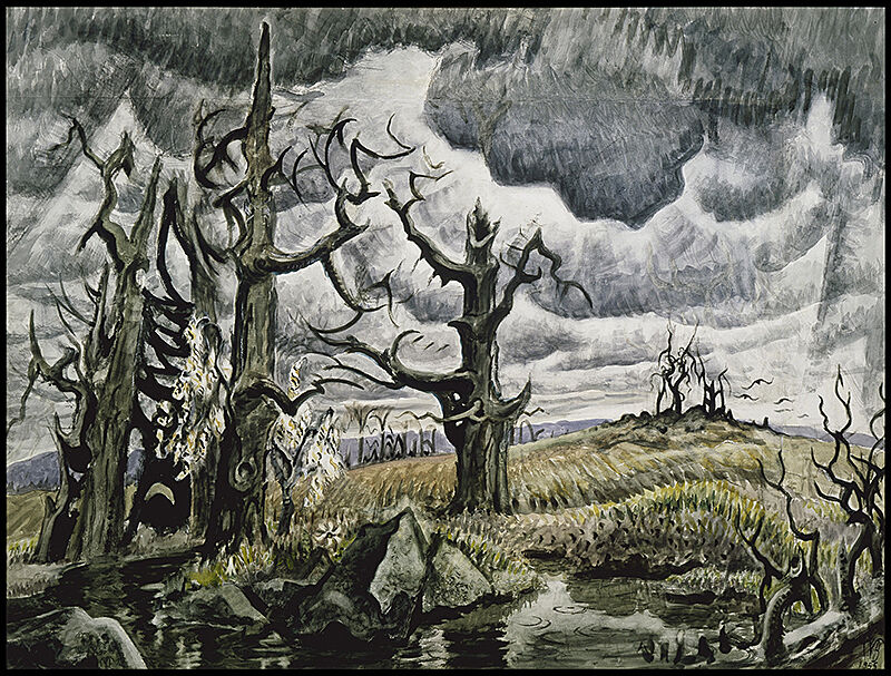 Trees with no leaves sit in a swamp with dark clouds overhead.