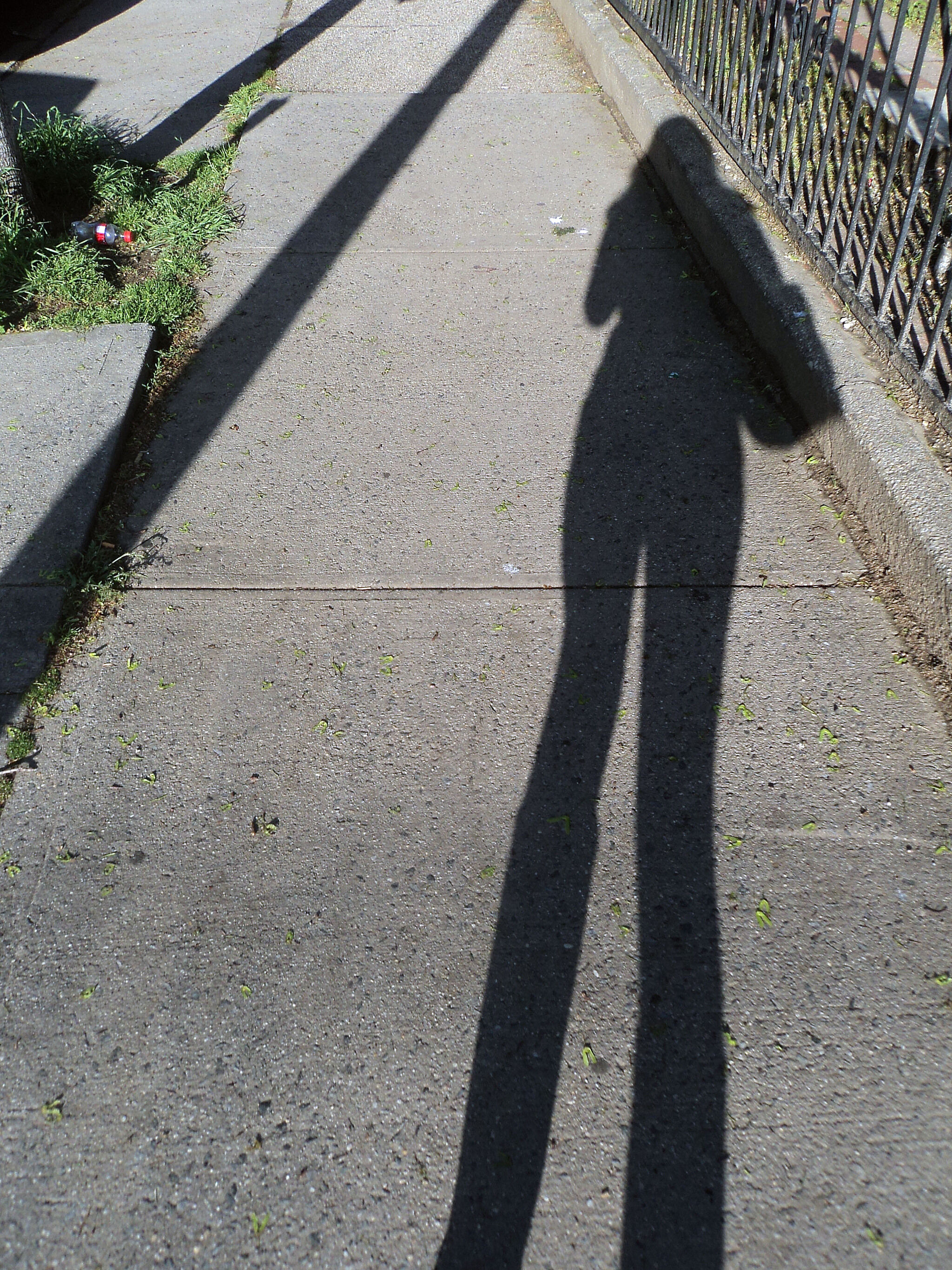 Shadow of a person on a sunlit sidewalk next to a metal fence and a patch of grass.