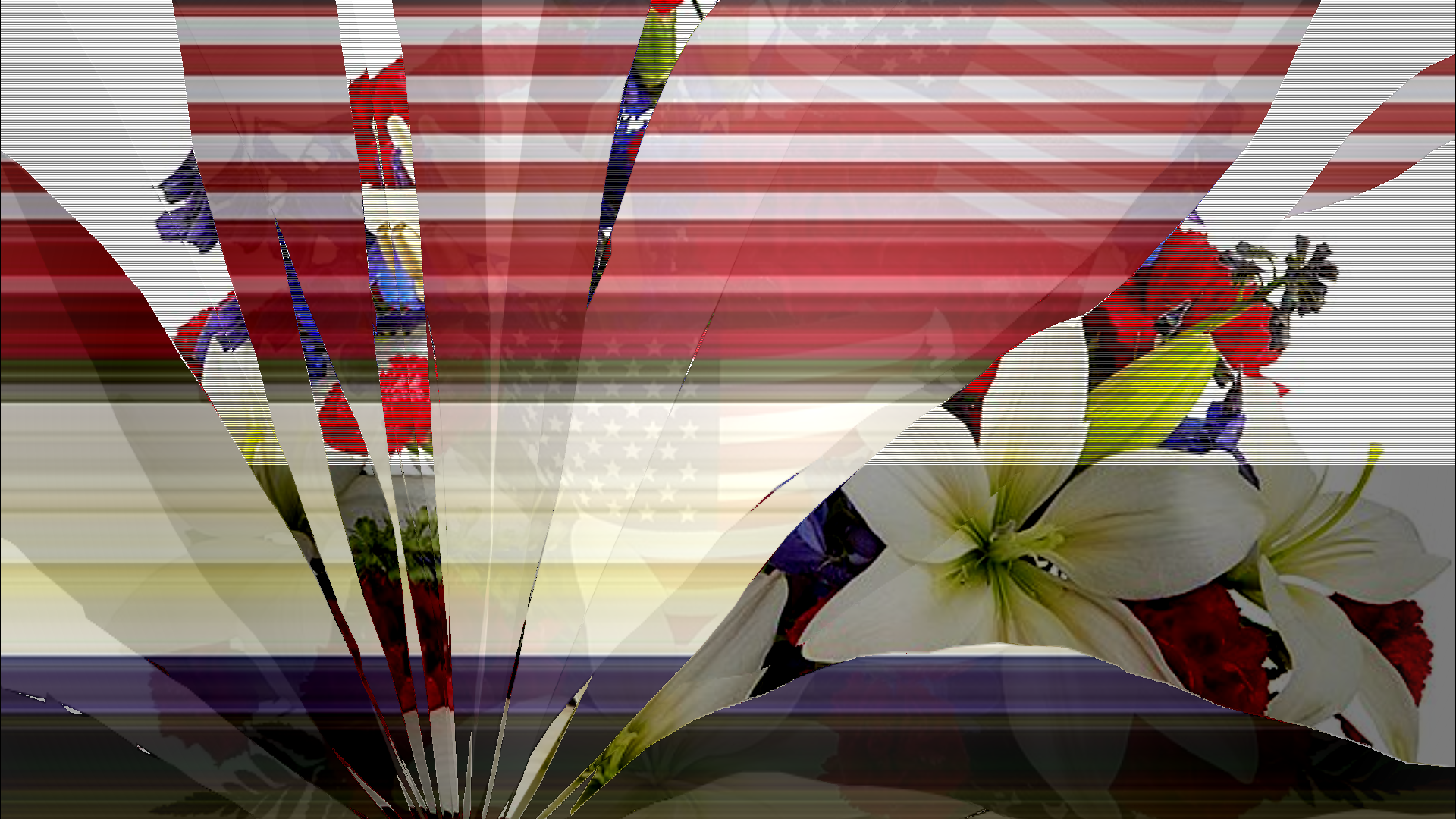 A cracked screen showing a distorted image of the American flag and a floral arrangement.