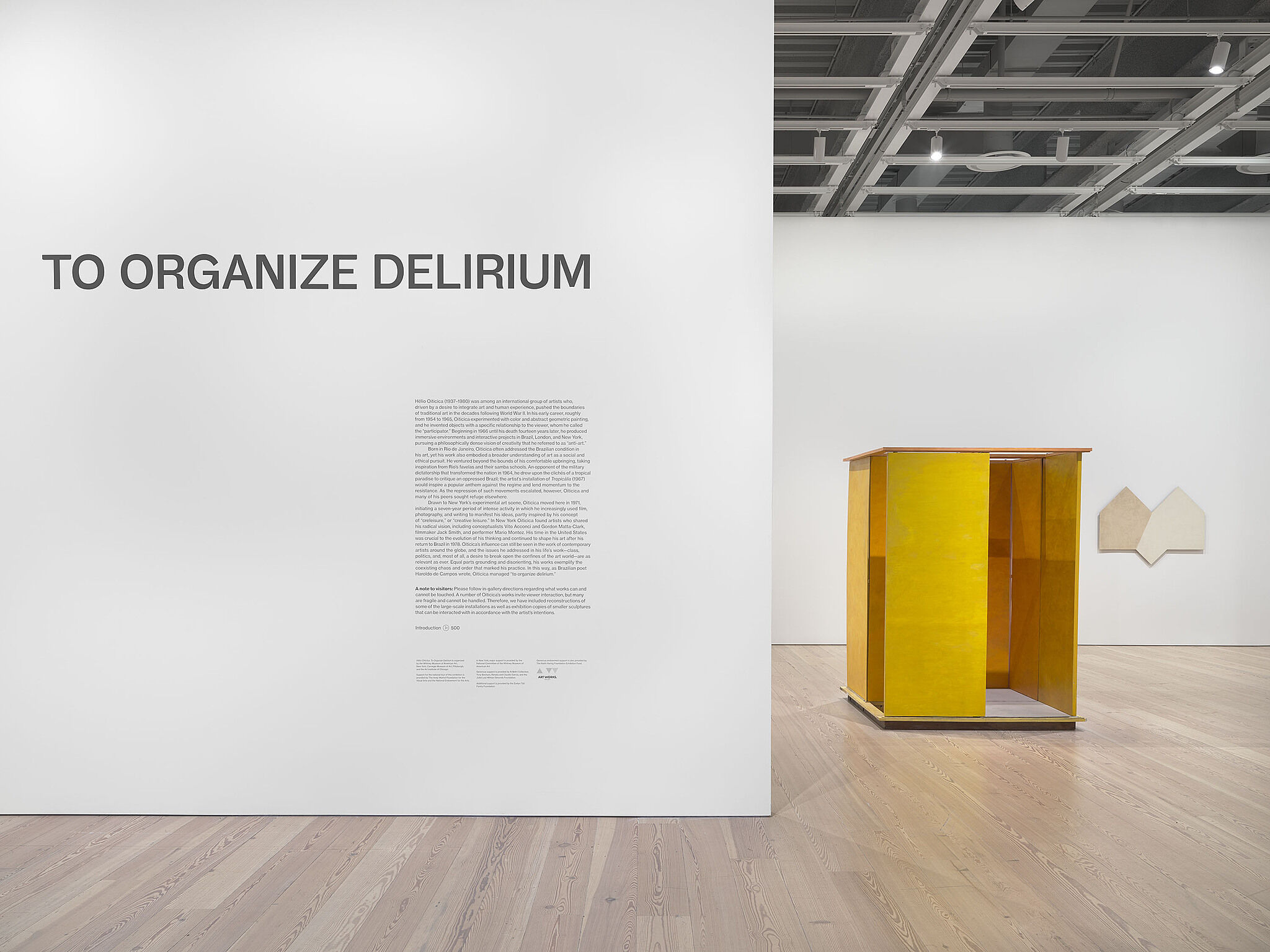 Installation view of Hélio Oiticica: To Organize Delirium 