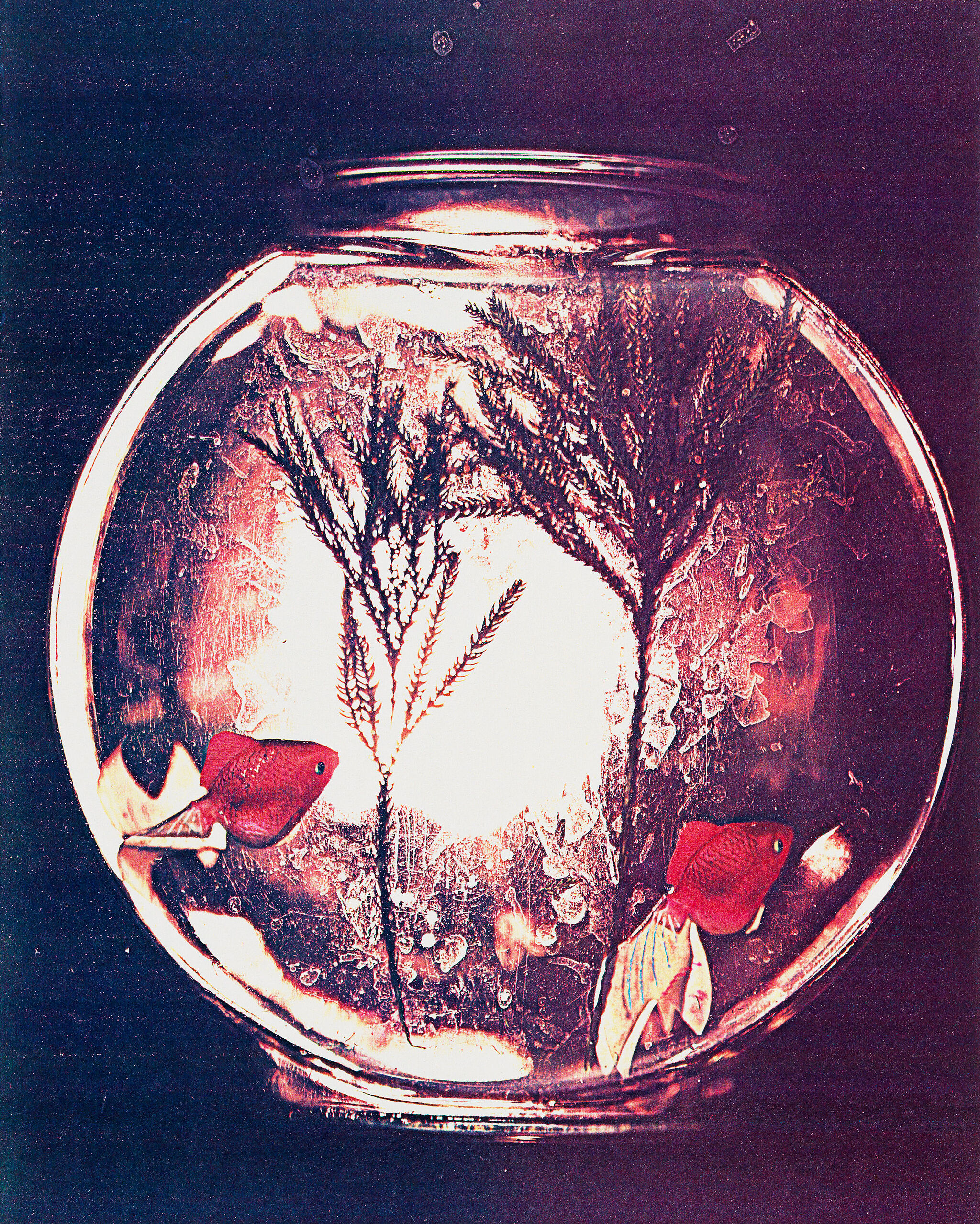 Artwork depicting a fishbowl.