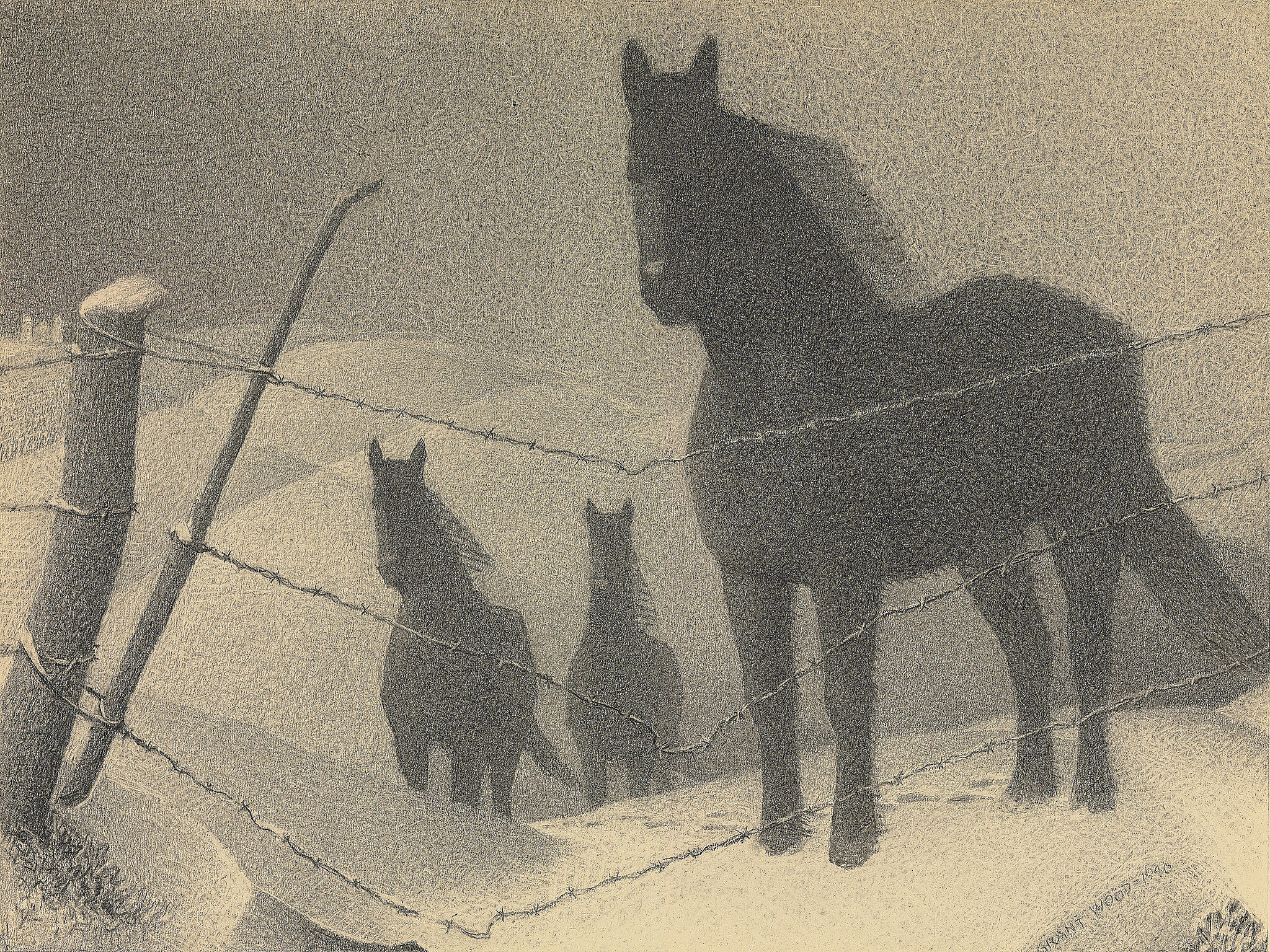 Sketch of three horses standing in snow behind barbed wire fence. 