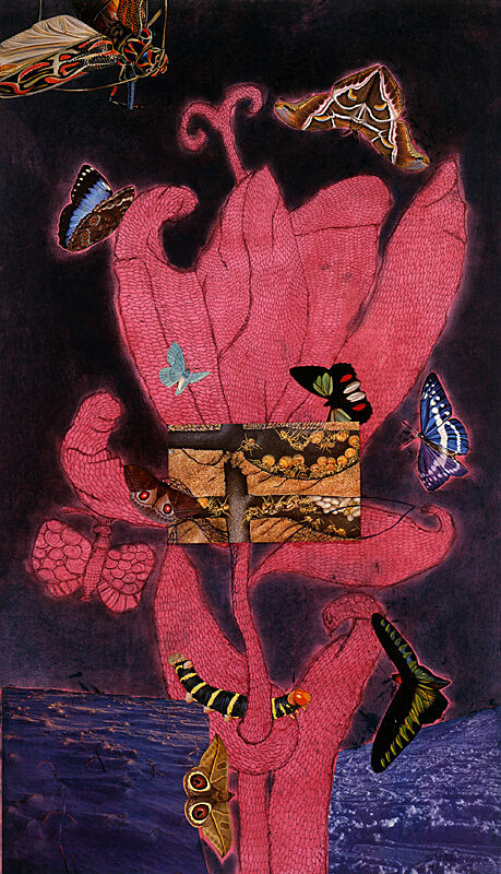 Collage with butterflies.