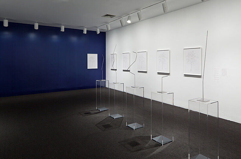 Installation shot of the exhibition.