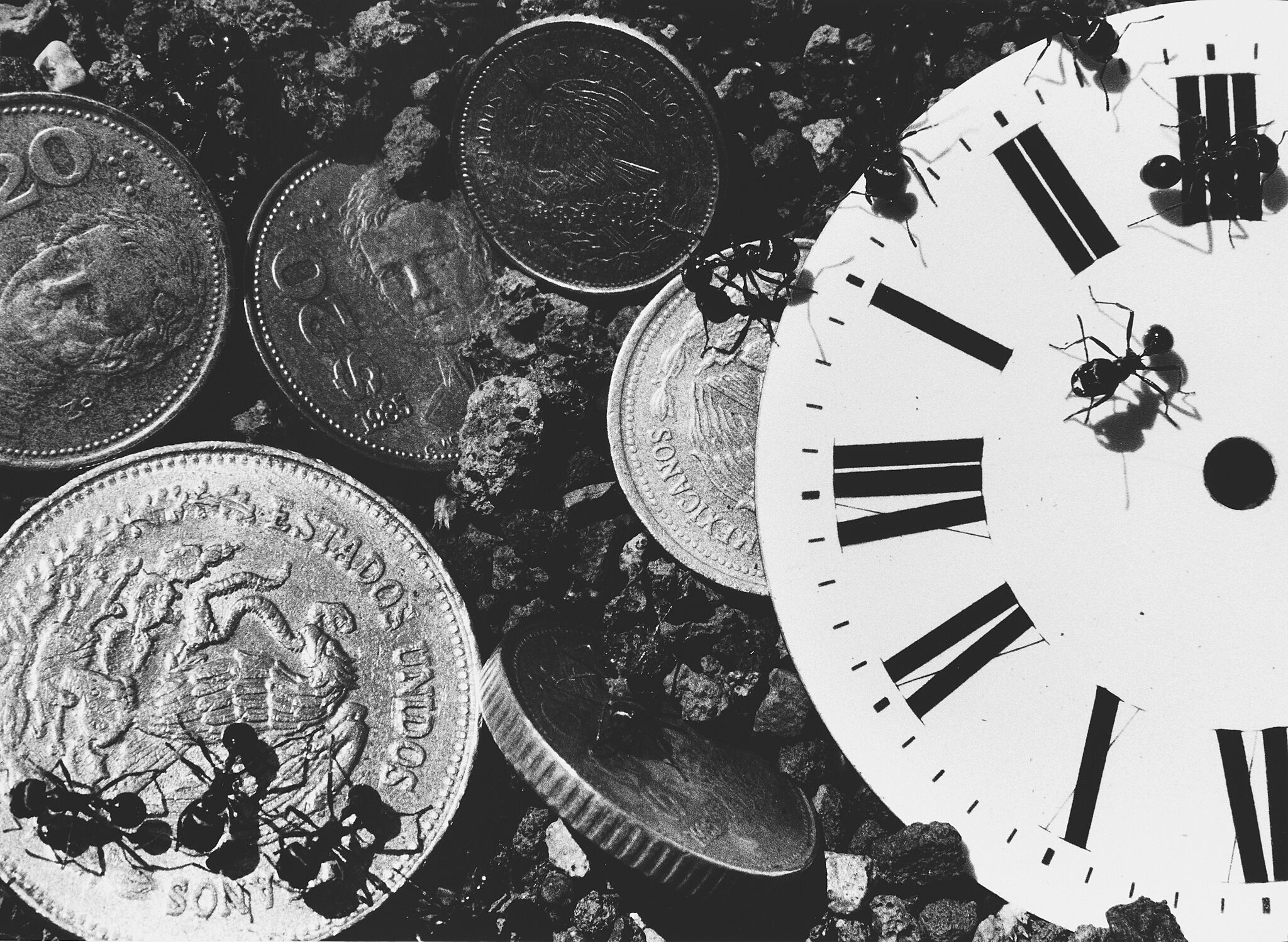 Black and white photograph of ants crawling over coins and a clock buried in gravel. 