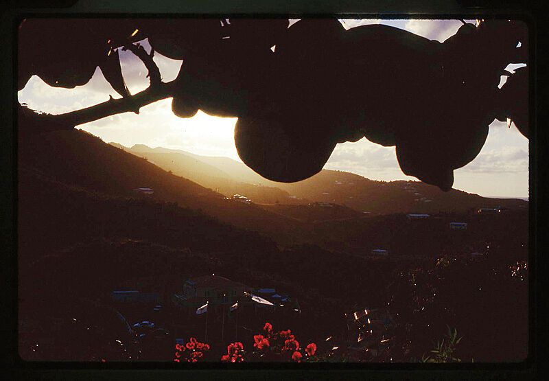 A view of a valley in sunset. 