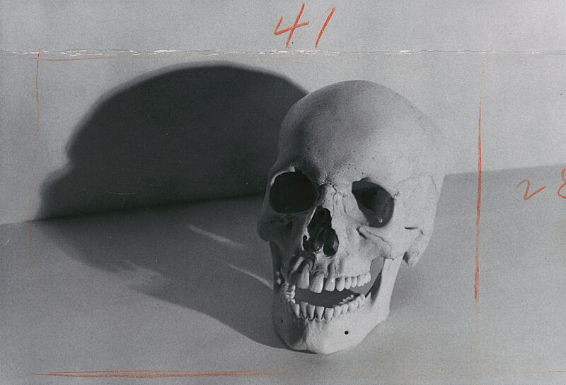 A photograph of a skull. 