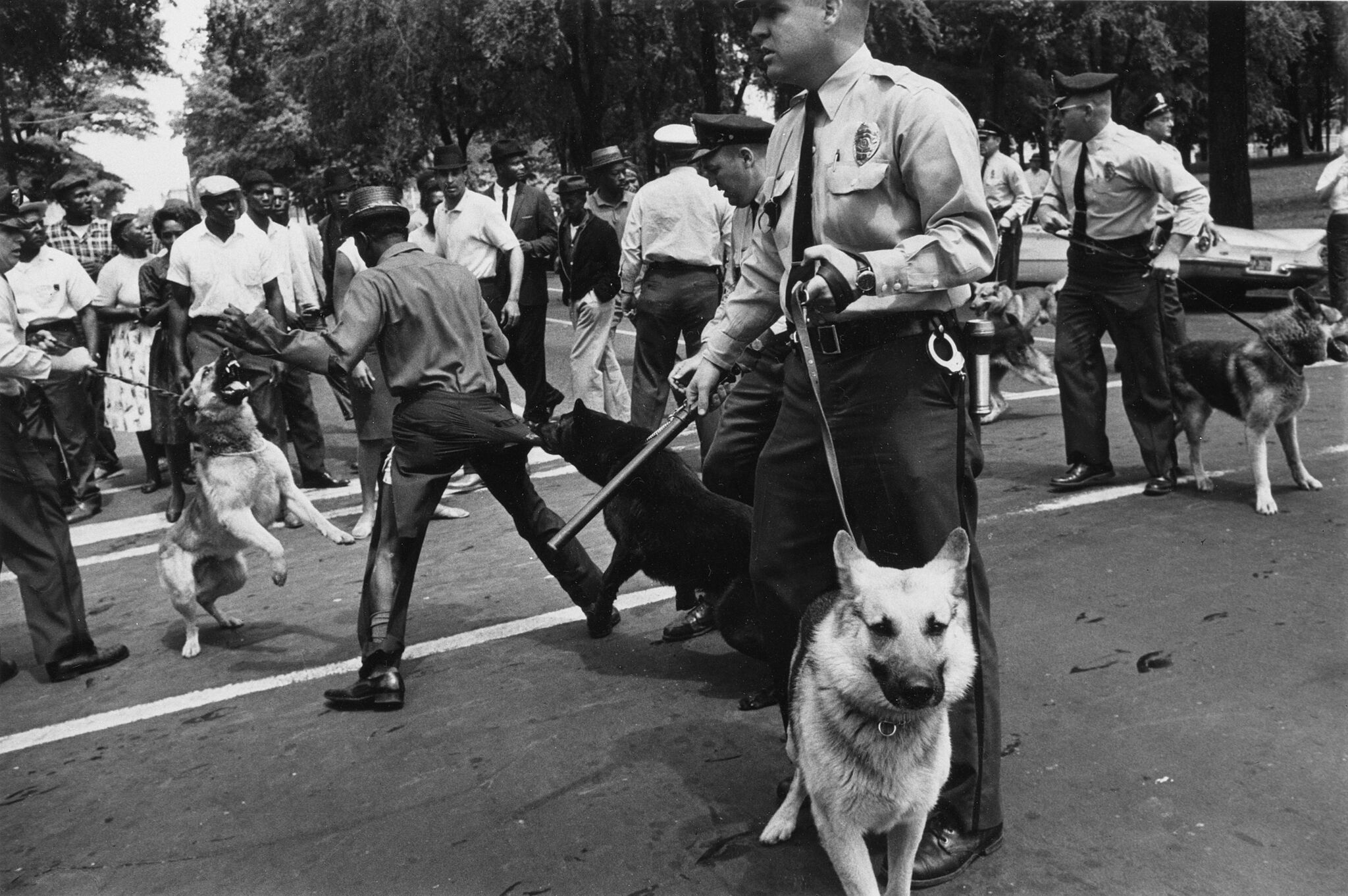 Police Dogs Used Against Demonstrators during a nonviolent demonstration.