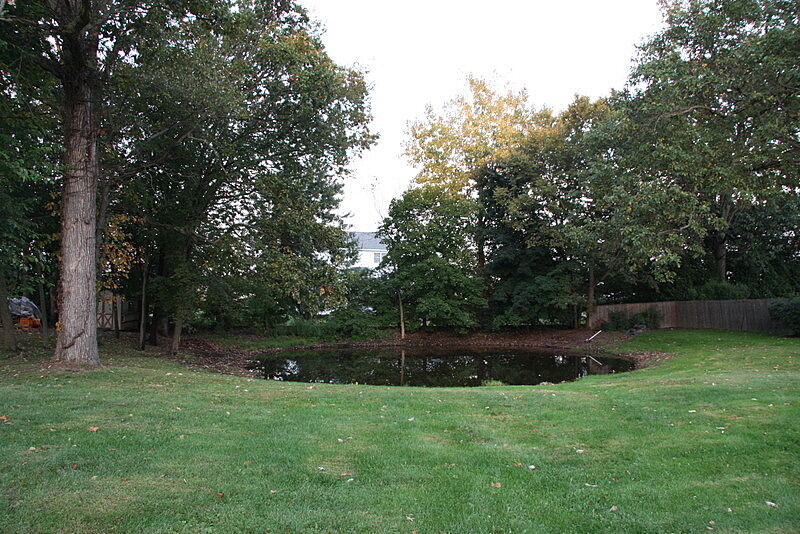 A photograph of a pond in a park. 