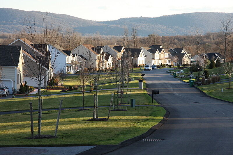 Houses in a suburb. 