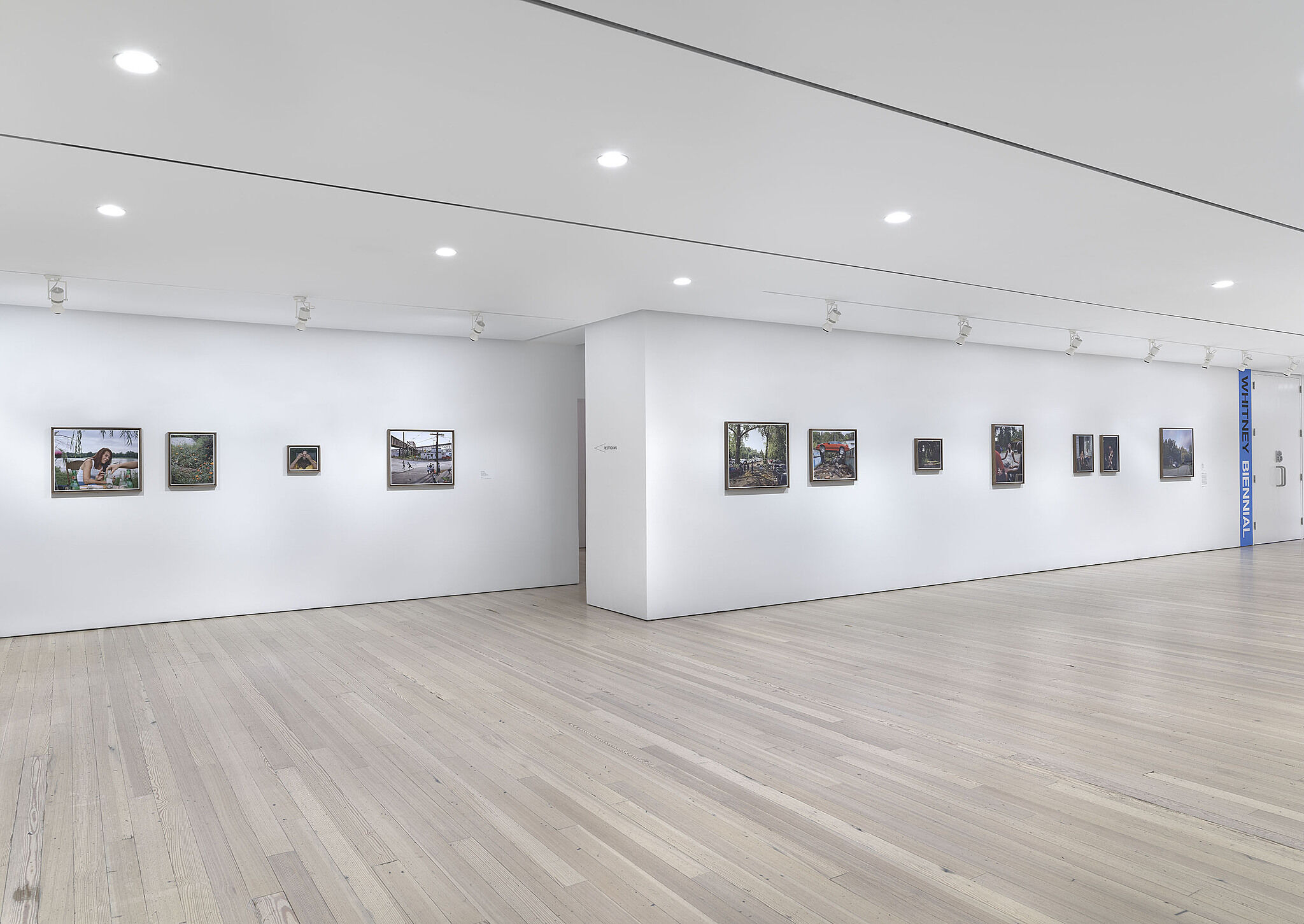 An installation view of artworks in a gallery.
