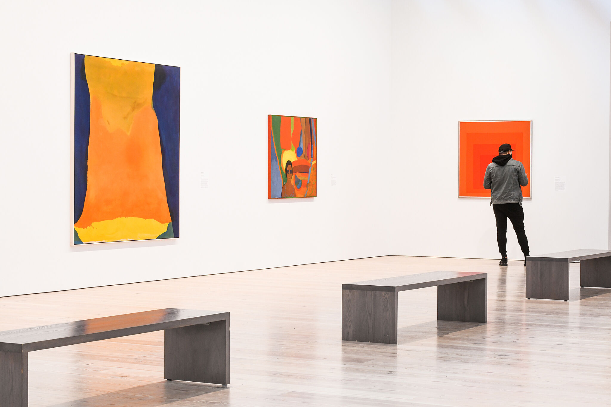 An installation view of artworks in a gallery.