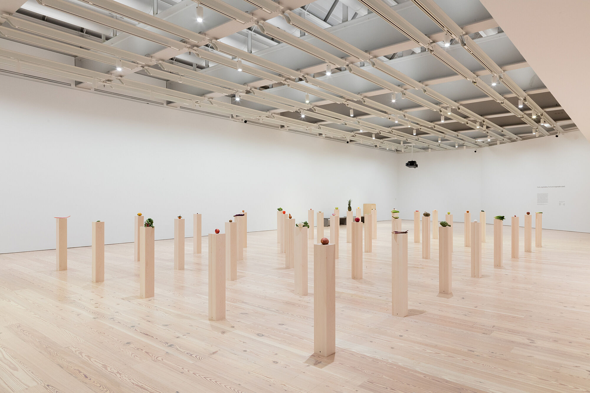 A photo of a gallery full of assorted vegetables and fruits on plinths.