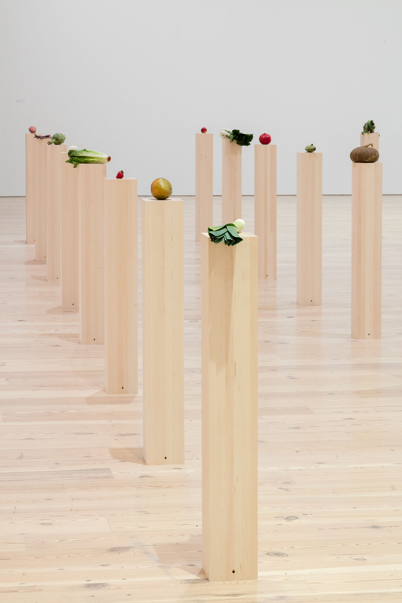 A photo of a gallery full of assorted vegetables and fruits on plinths.