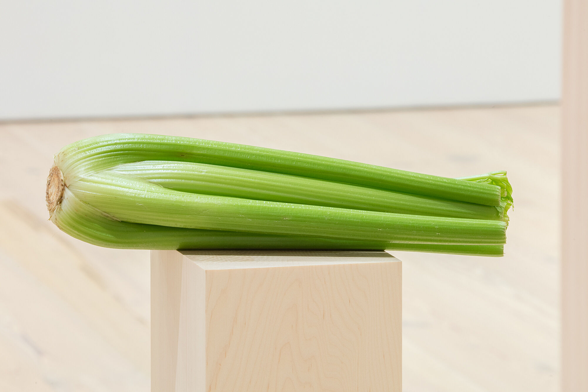 A photo of celery on a plinth.