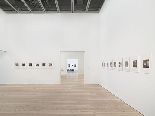 Zoe Leonard: Survey | Whitney Museum of American Art