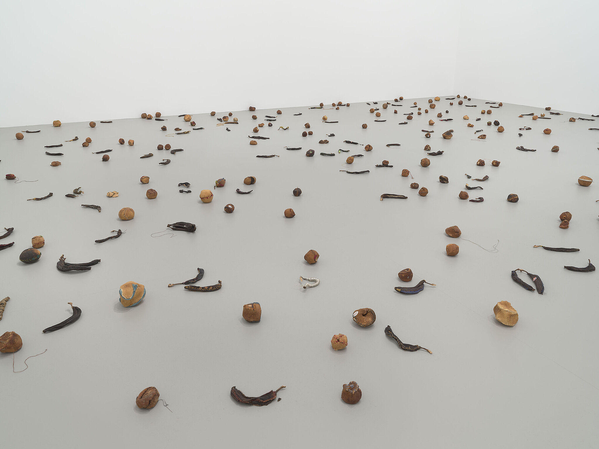 A collection of dried fruits on a gallery floor.