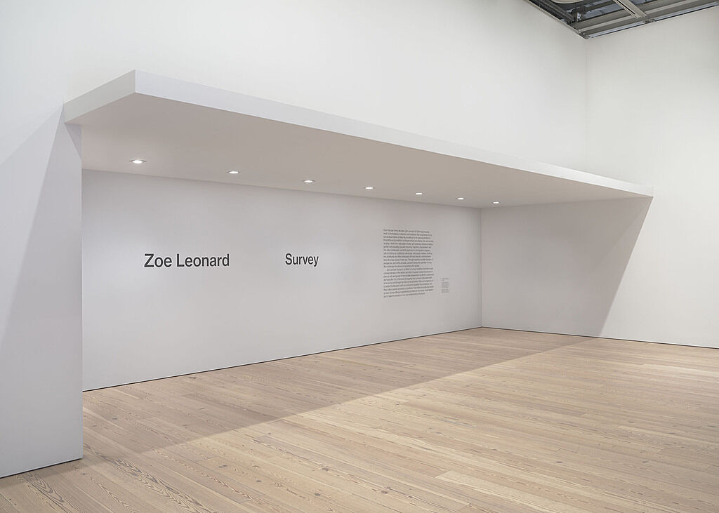 zoe-leonard-survey-whitney-museum-of-american-art