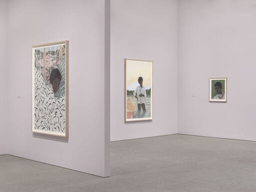 Toyin Ojih Odutola: To Wander Determined | Whitney Museum of American Art