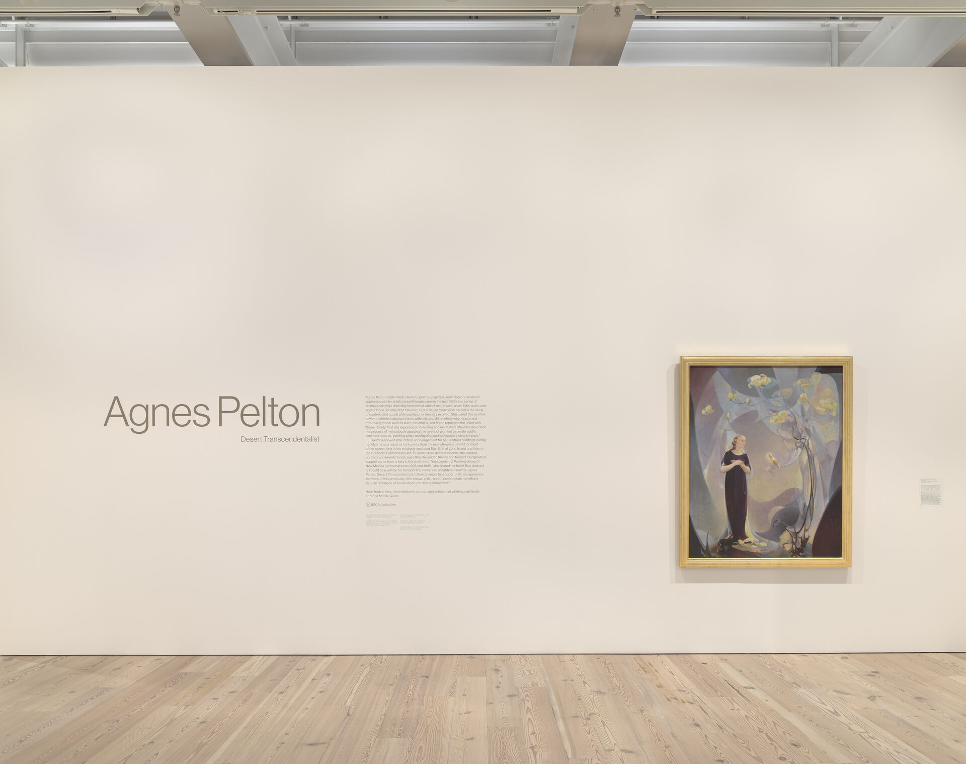 Room Decoration in Purple and Gray, 1917 by Agnes Pelton appears on a white wall in the Whitney next to text on the wall reading, "Agnes Pelton, Desert Transcendentalist."