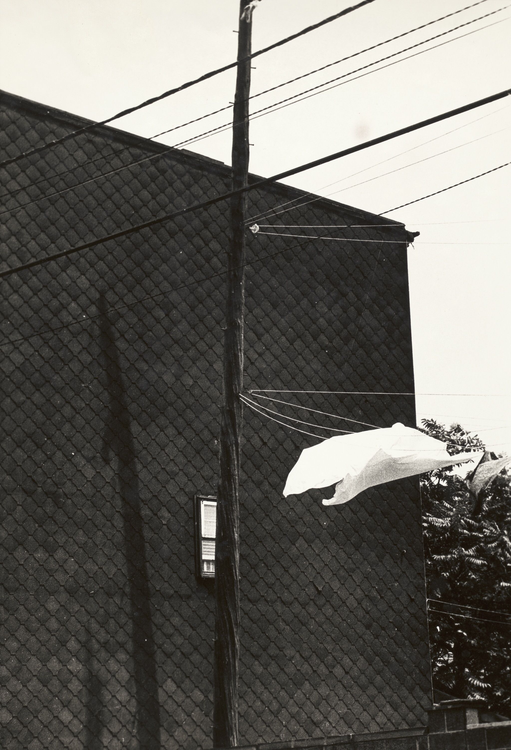 A power line in front of a fence.