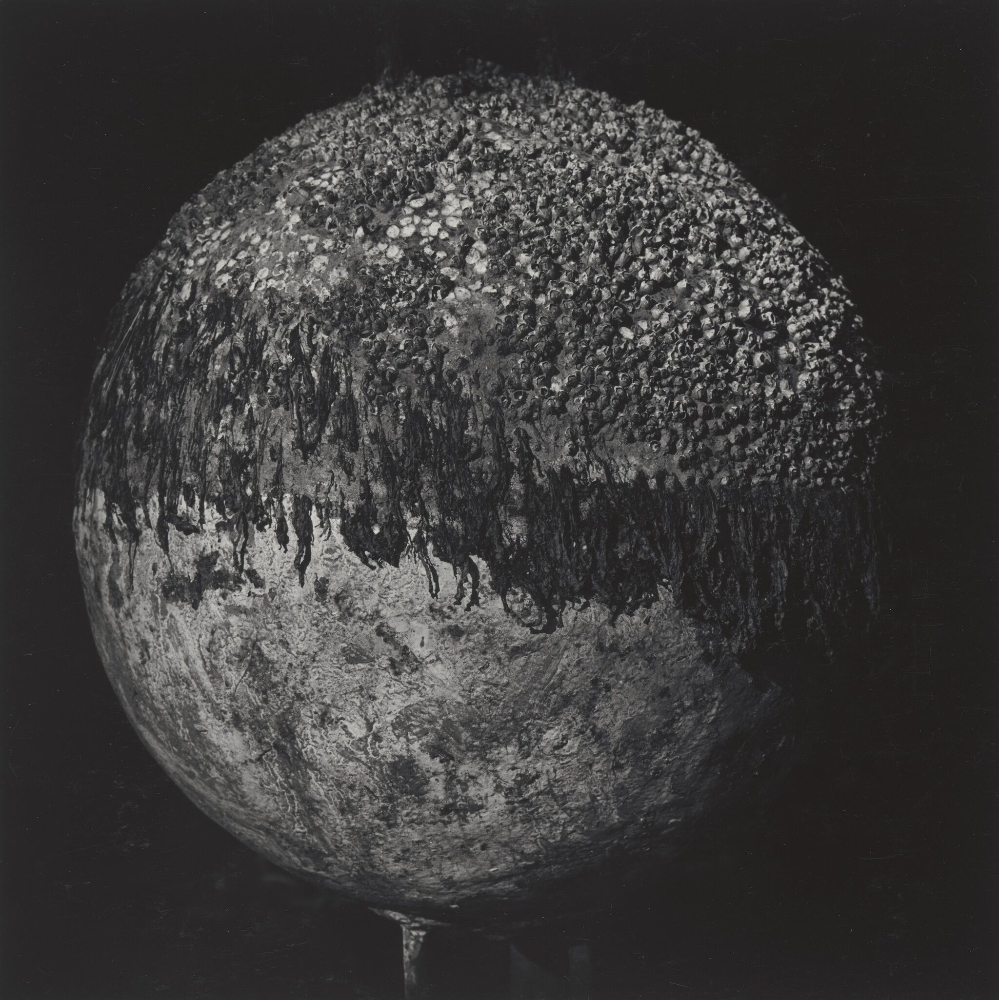 A sphere with varying textures on its surface.