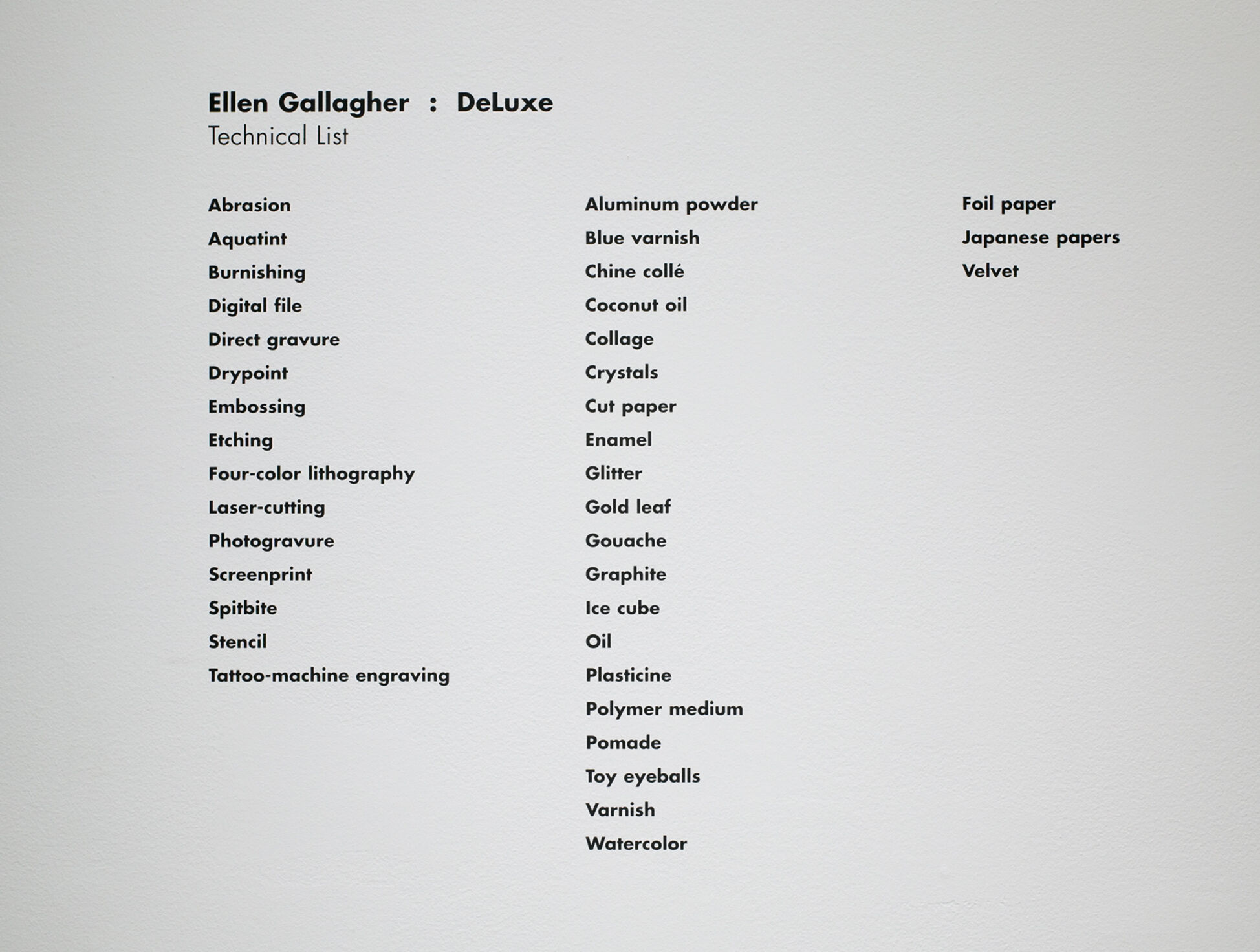 Wall text for Ellen Gallagher: DeLuxe listing the technical methods and materials used.