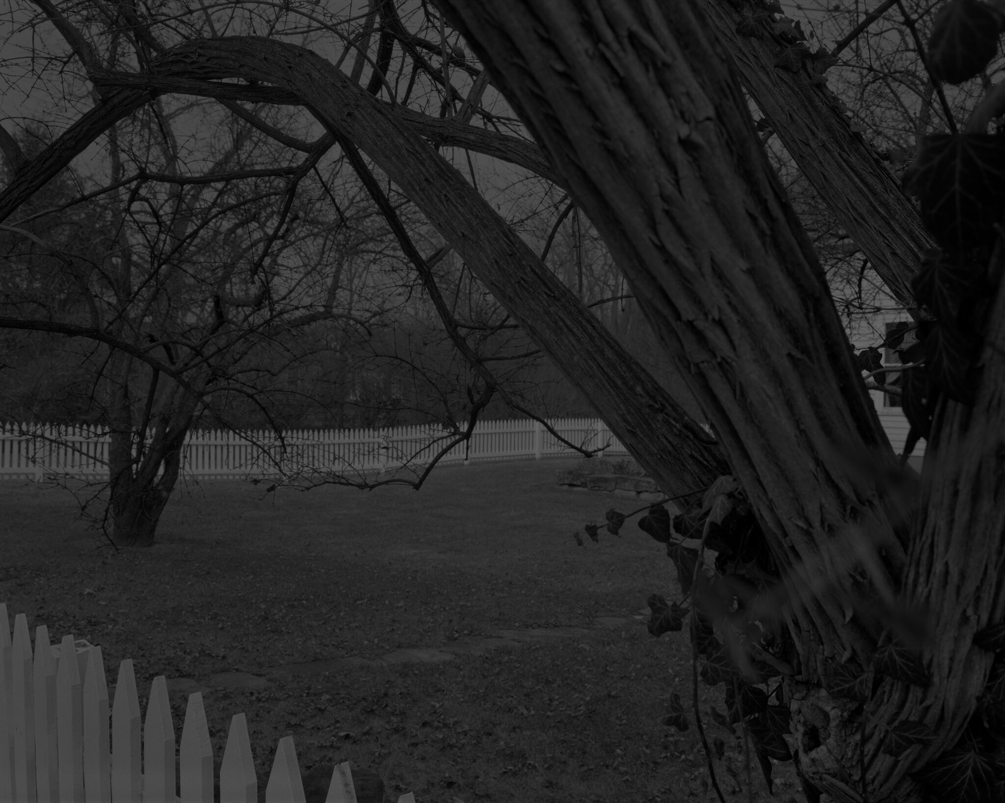 A greyscale close-up of an empty grassy area surrounded by a picket fence. 