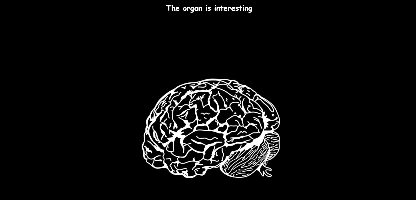 A white illustration of a brain against a black background. 