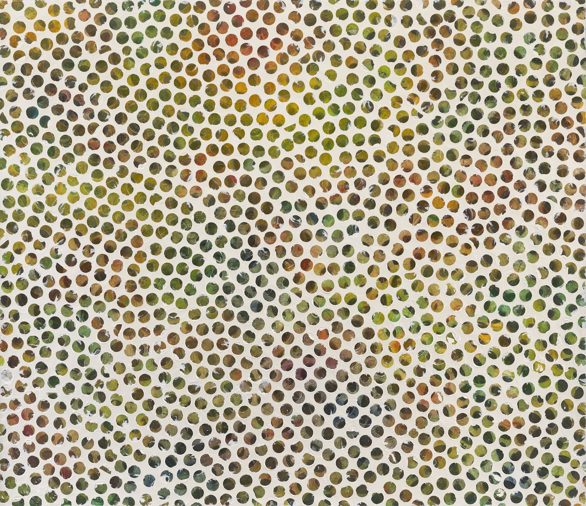 A collection of multicolored circles against a white background. 