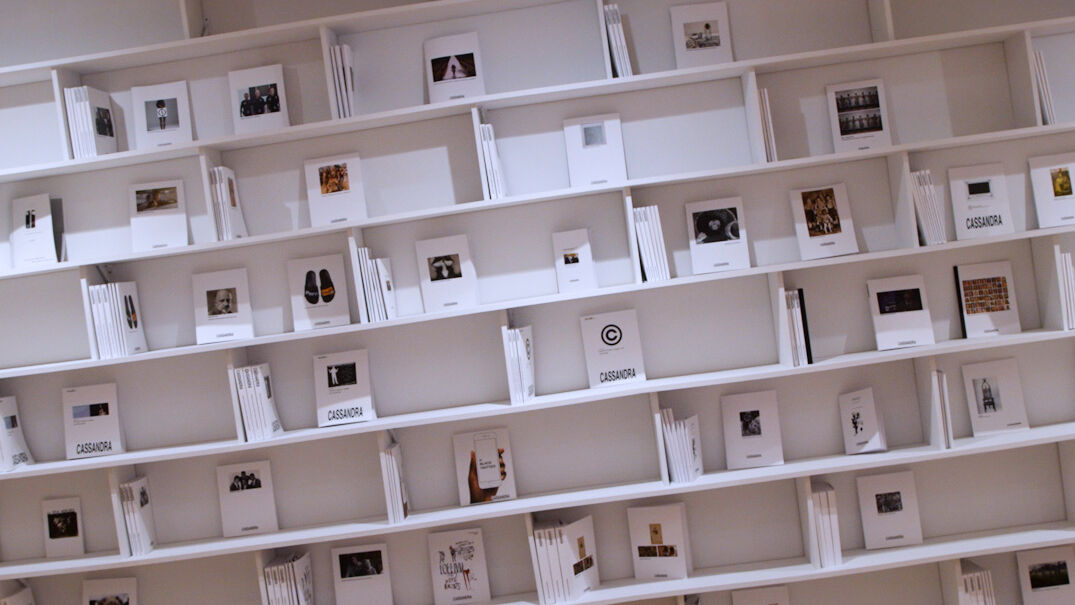Many books with white covers displayed on white shelves
