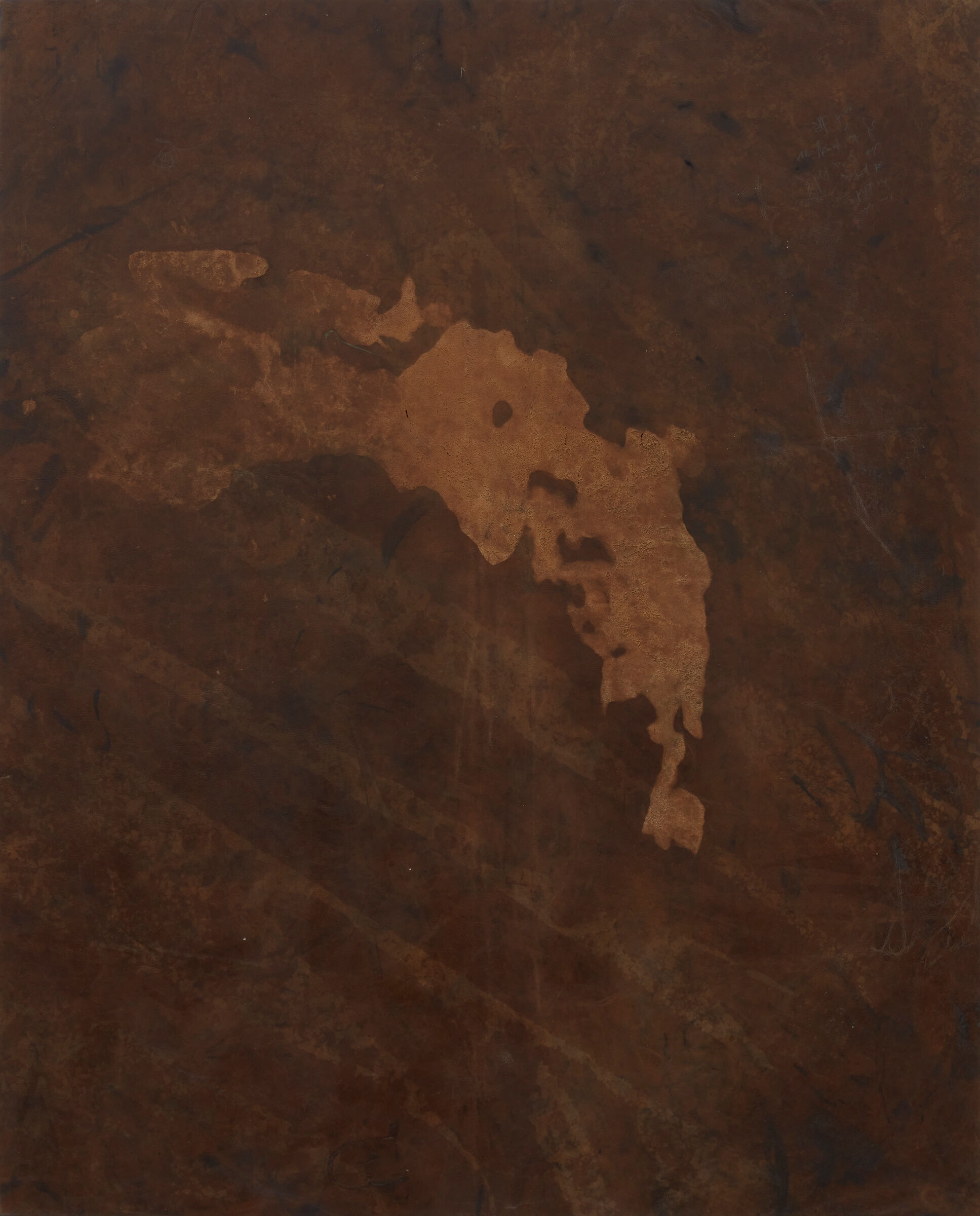 Abstract splotches of brown hues on wrinkled leather.