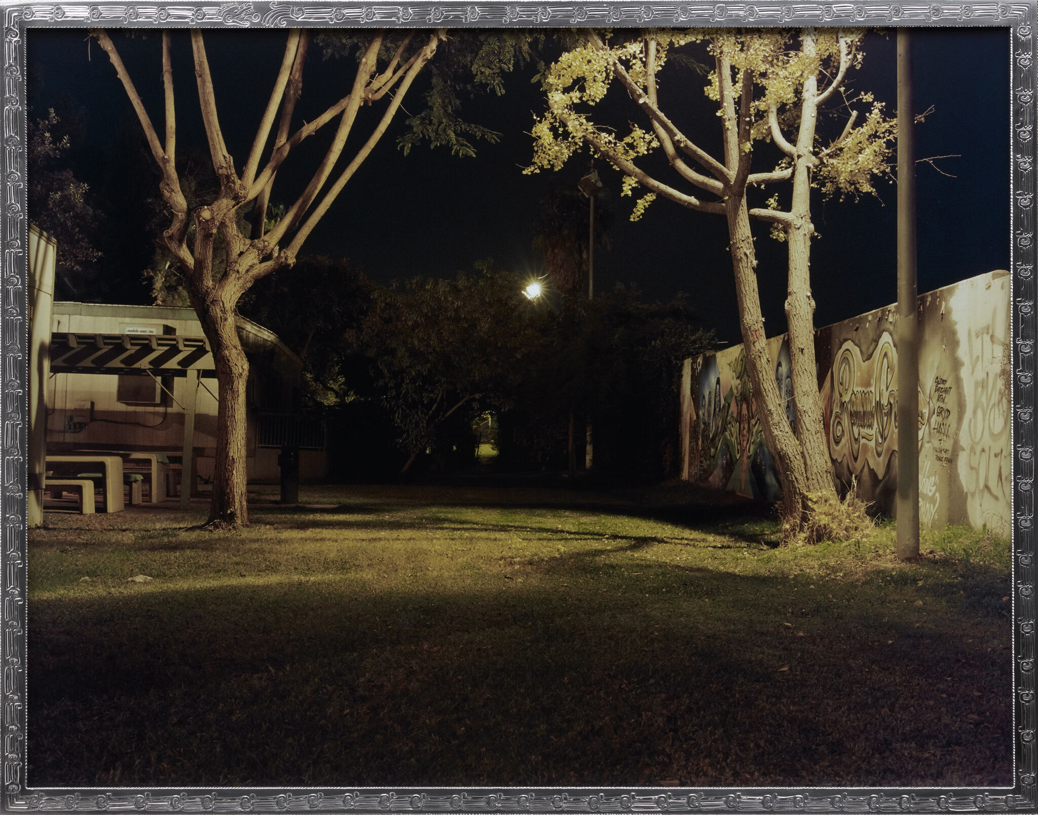 Nighttime image of a grassy yard with two trees and a graffiti-covered wall.
