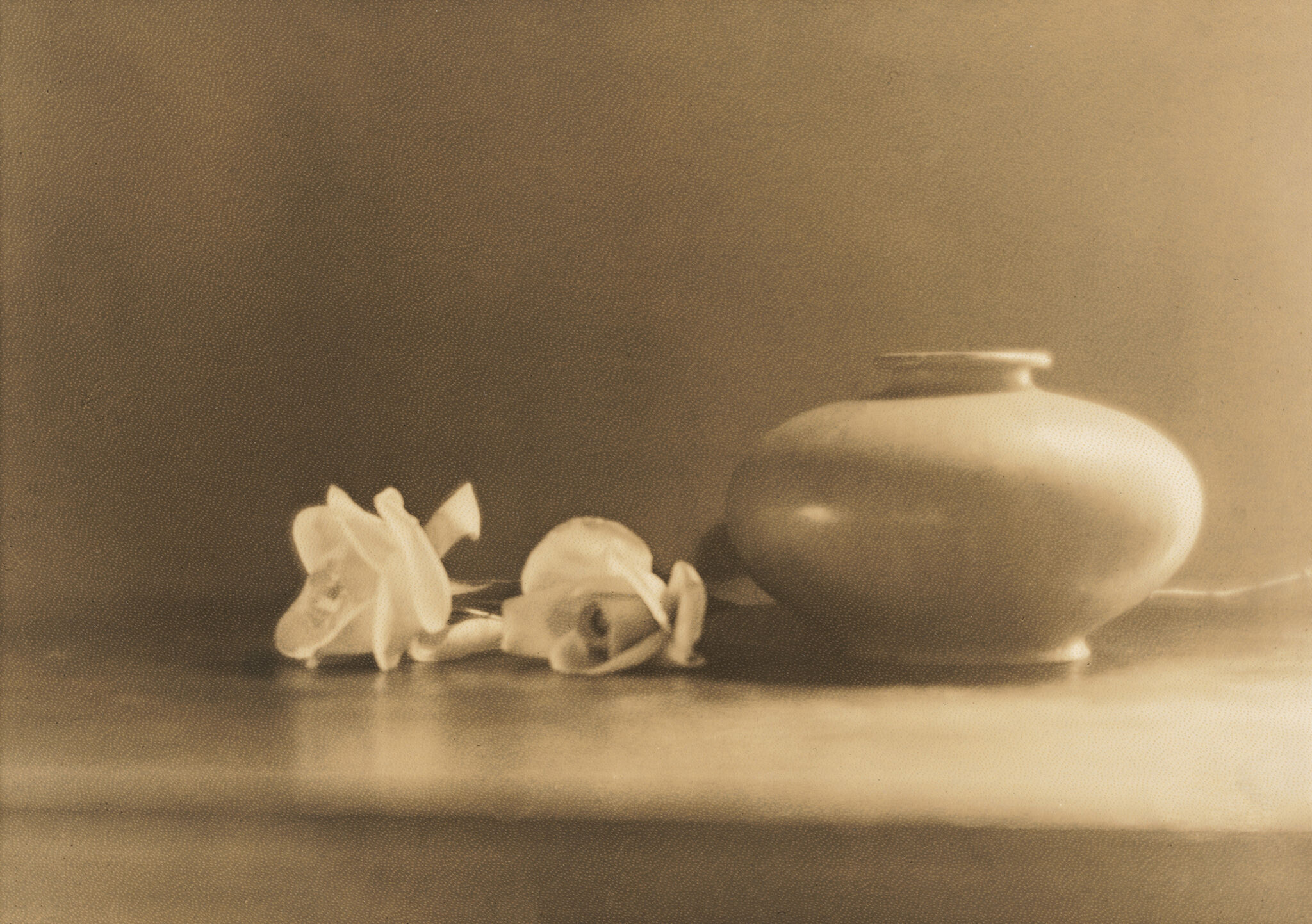 A sepia photography with a short vase and two white flowers beside it